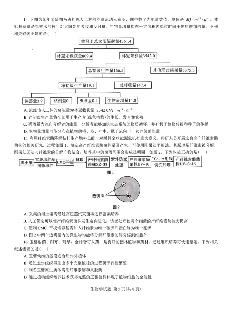 2025年陕西省高考适应性检测（一）物理试卷（图片版，含答案）_A1502026各地模拟卷（超值！）_11月_241112陕西省2025届高考适应性检测（一）