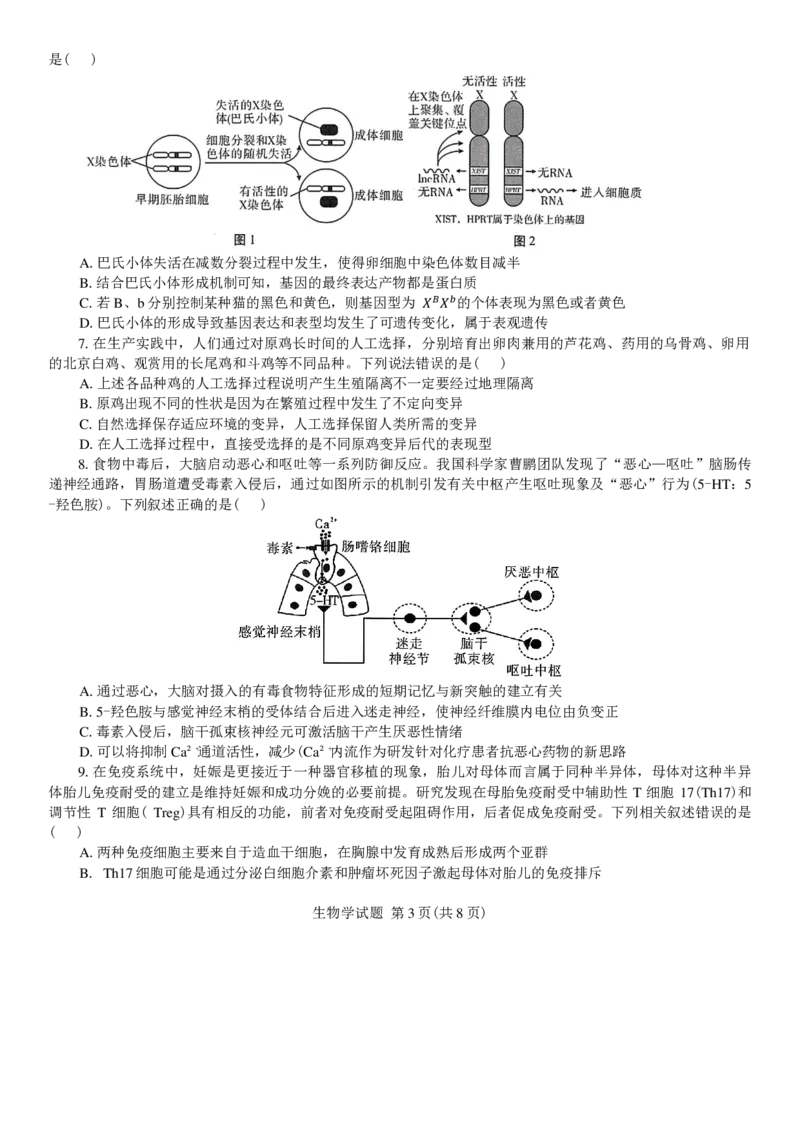 2025年陕西省高考适应性检测（一）生物试卷（含解析）_A1502026各地模拟卷（超值！）_11月_241112陕西省2025届高考适应性检测（一）
