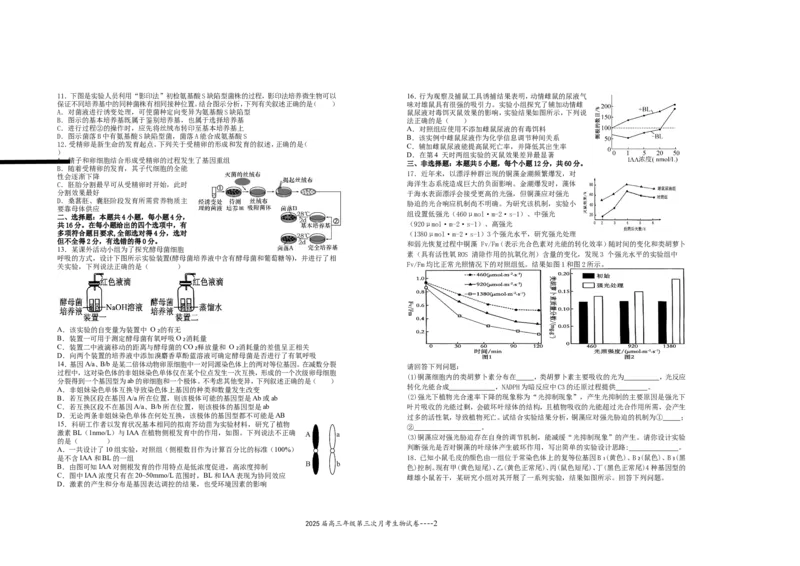 2025届高三年级第三次月考生物试卷_A1502026各地模拟卷（超值！）_11月_241102江西省宜春市上高二中2025届高三上学期10月月考