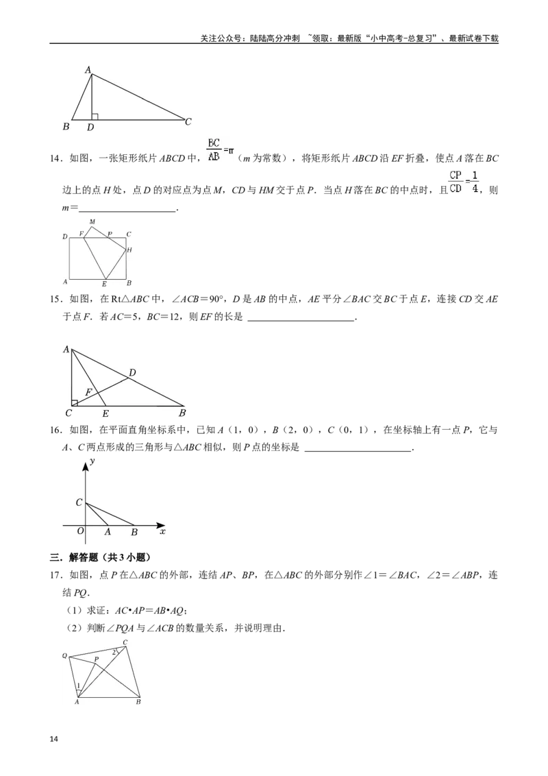 专题19图形的相似与位似的核心知识点精讲（讲义）-备战2024年中考数学一轮复习考点帮（全国通用）（原卷版）_02中考总复习（2026版更新中）_02-数学-中考总复习_2024年中考复习资料_讲义