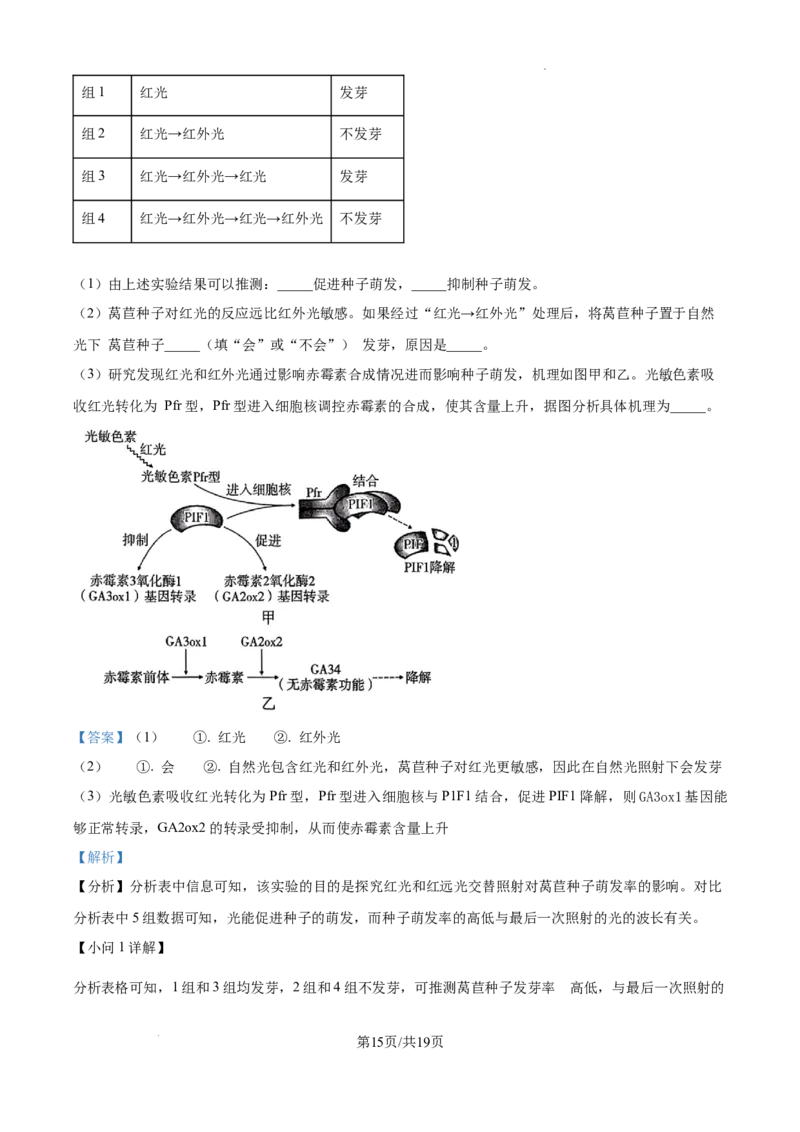 云南师范大学附属中学2025届高三高考适应性月考卷（四）生物答案_A1502026各地模拟卷（超值！）_10月_241024云南师范大学附属中学2025届高三高考适应性月考卷（四）