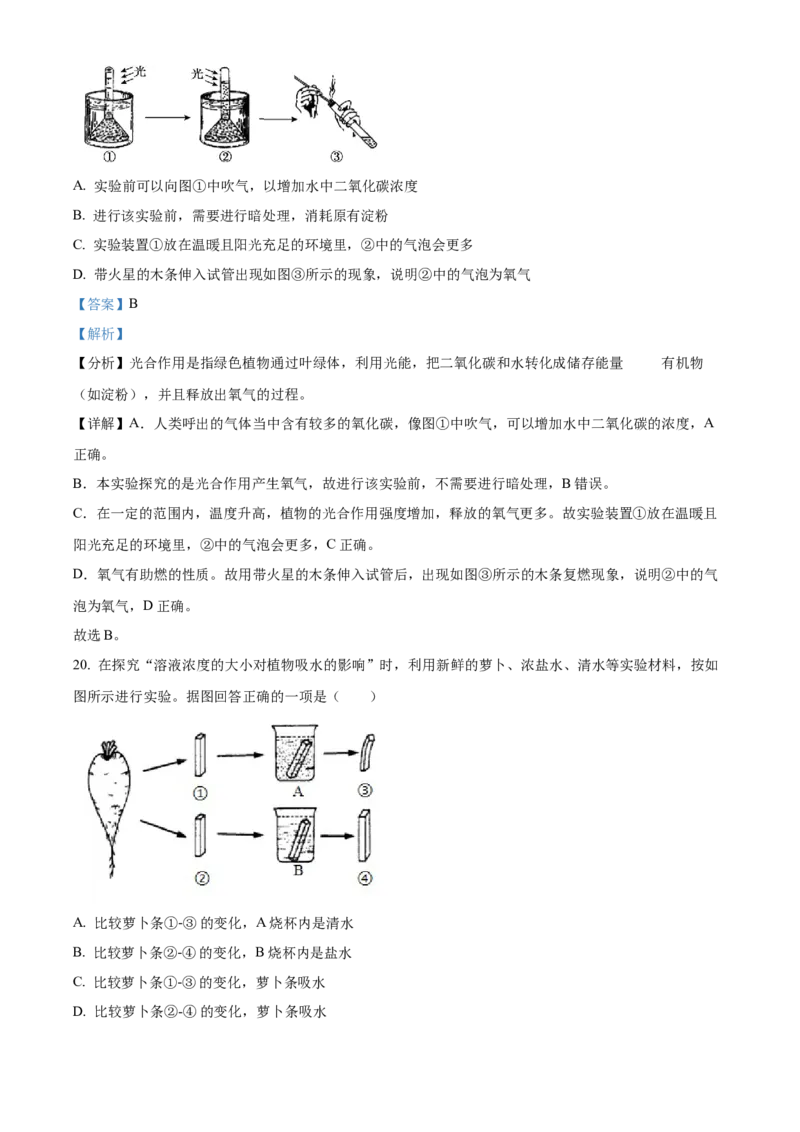 精品解析：北京市北京师范大学附属实验中学2022-2023学年七年级上学期期中生物试题（解析版）(1)_北京初中期末题_C605-京七八九_B京生物七八九_北京7上生物_2022-2024_北京生物7上期中