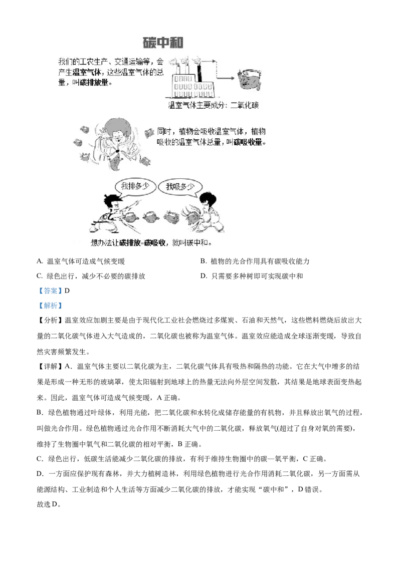 精品解析：北京市北京师范大学附属实验中学2022-2023学年七年级上学期期中生物试题（解析版）(1)_北京初中期末题_C605-京七八九_B京生物七八九_北京7上生物_2022-2024_北京生物7上期中
