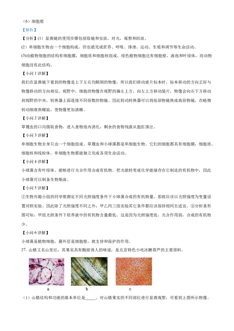 精品解析：北京市北京师范大学附属实验中学2022-2023学年七年级上学期期中生物试题（解析版）(1)_北京初中期末题_C605-京七八九_B京生物七八九_北京7上生物_2022-2024_北京生物7上期中