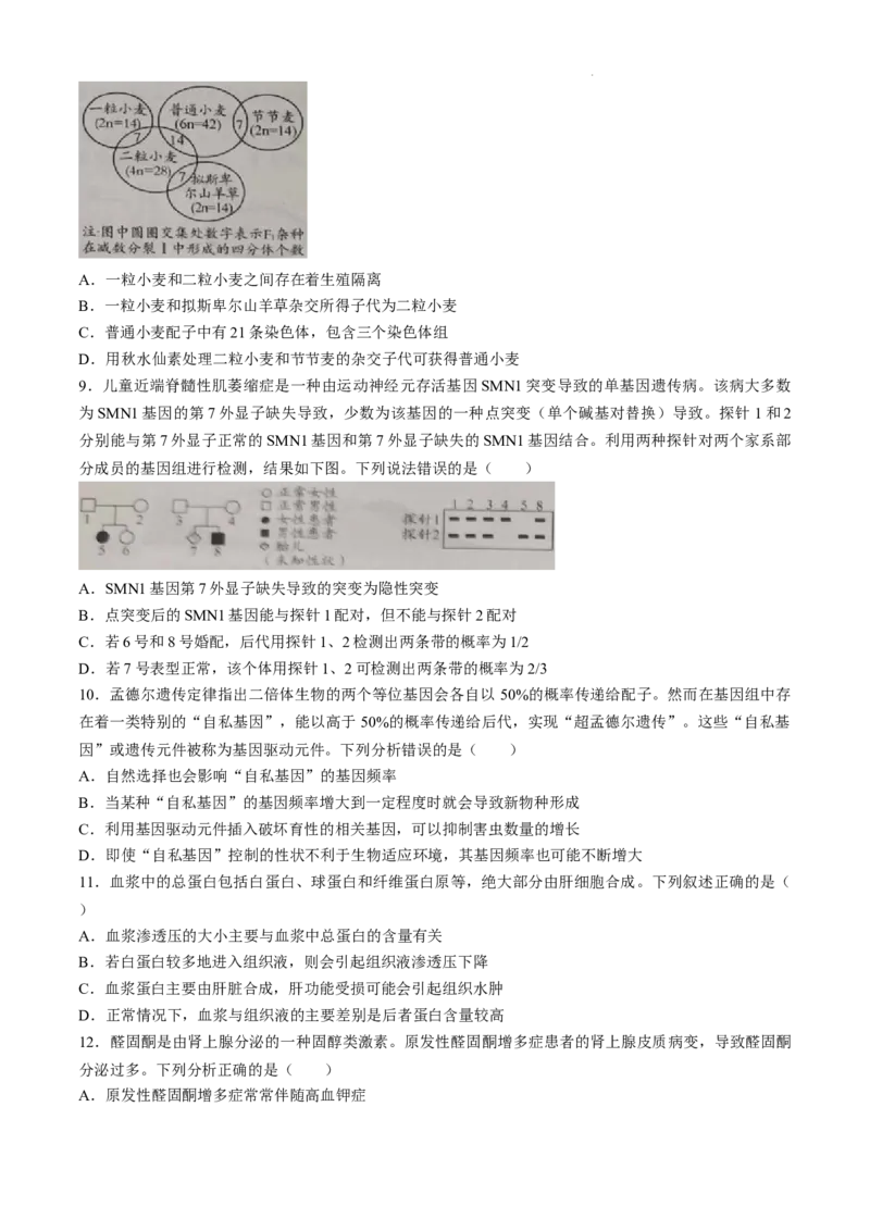 山东省日照市2025届高三上学期11月期中校际联合考试生物_A1502026各地模拟卷（超值！）_11月_241125山东省日照市2025届高三上学期11月期中校际联合考试