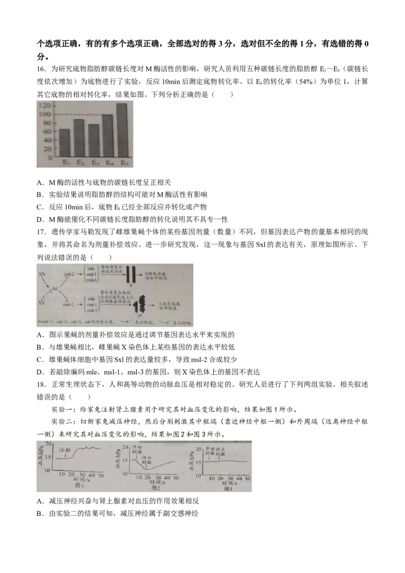 山东省日照市2025届高三上学期11月期中校际联合考试生物_A1502026各地模拟卷（超值！）_11月_241125山东省日照市2025届高三上学期11月期中校际联合考试