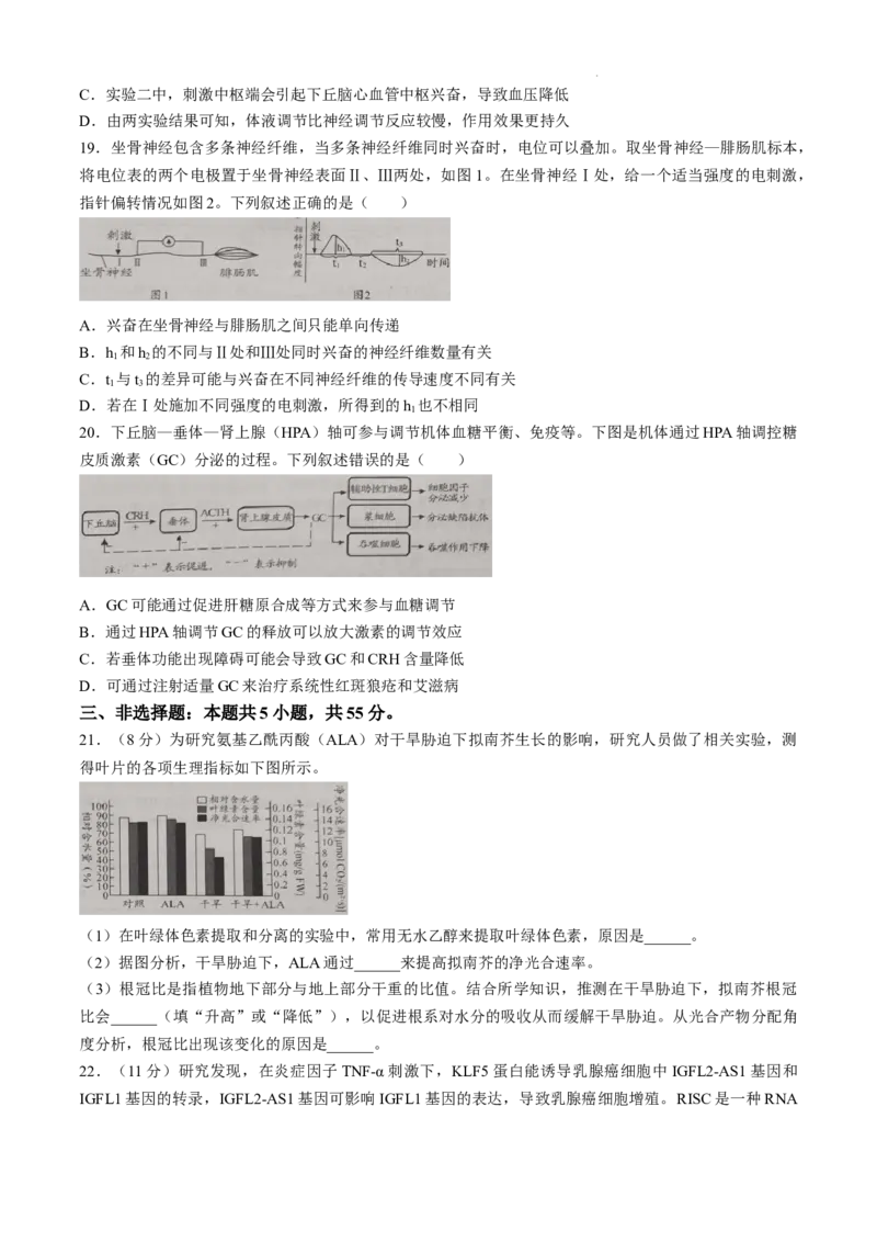 山东省日照市2025届高三上学期11月期中校际联合考试生物_A1502026各地模拟卷（超值！）_11月_241125山东省日照市2025届高三上学期11月期中校际联合考试