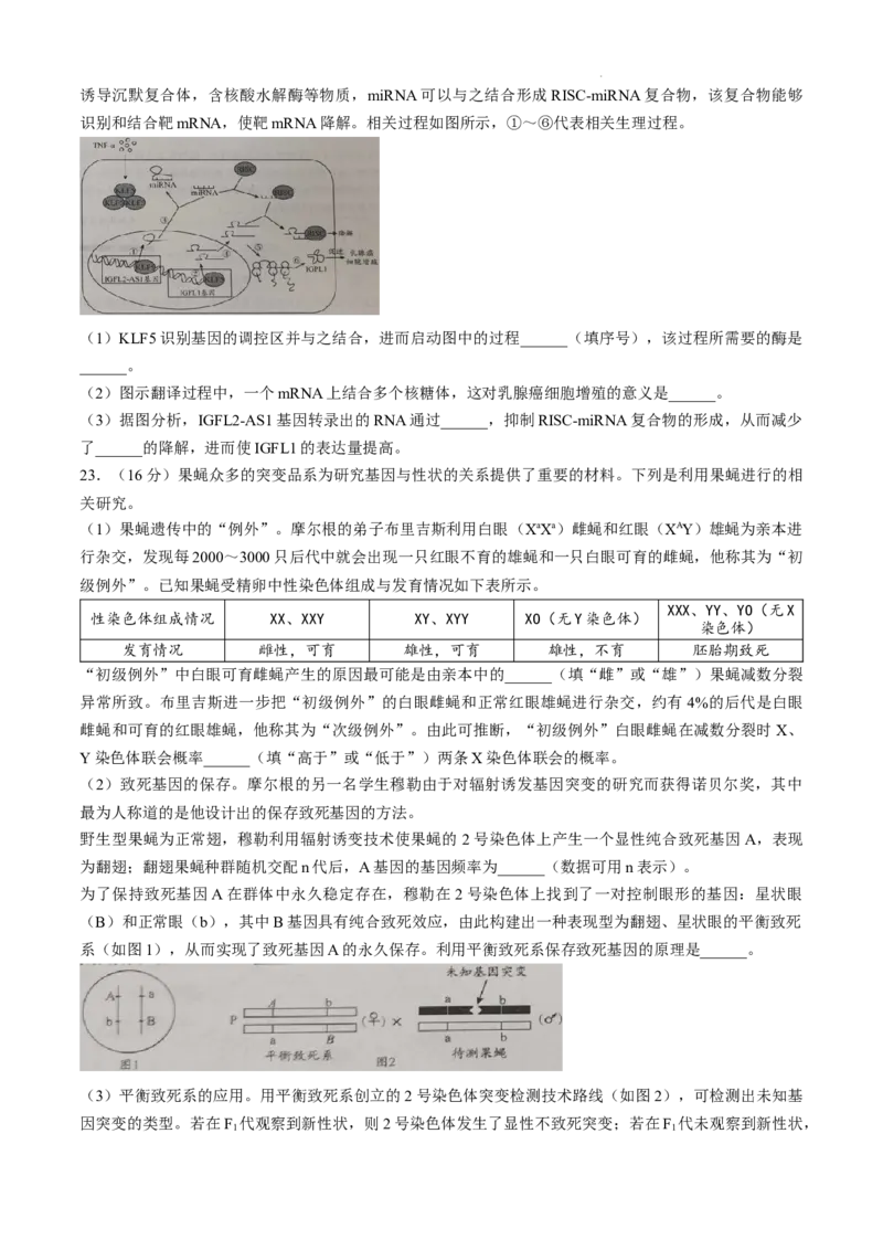 山东省日照市2025届高三上学期11月期中校际联合考试生物_A1502026各地模拟卷（超值！）_11月_241125山东省日照市2025届高三上学期11月期中校际联合考试