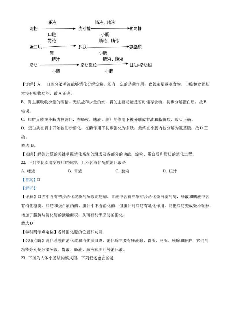 精品解析：北京市大兴区2020-2021学年七年级上学期期末生物试题（解析版）(1)_北京初中期末题_C605-京七八九_B京生物七八九_北京7上生物_2020-2021