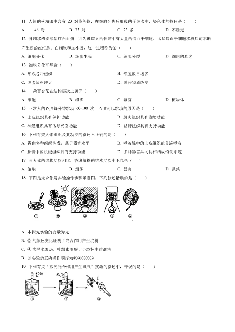 精品解析：北京市北京师范大学附属实验中学2022-2023学年七年级上学期期中生物试题（原卷版）(1)_北京初中期末题_C605-京七八九_B京生物七八九_北京7上生物_2022-2024_北京生物7上期中