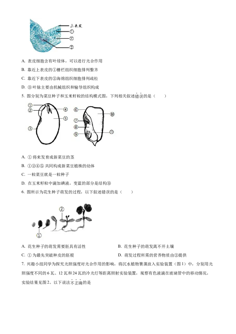 精品解析：北京市十一学校2021-2022学年八年级下学期期中生物试题（原卷版）(1)_北京初中期末题_C605-京七八九_B京生物七八九_北京八下生物