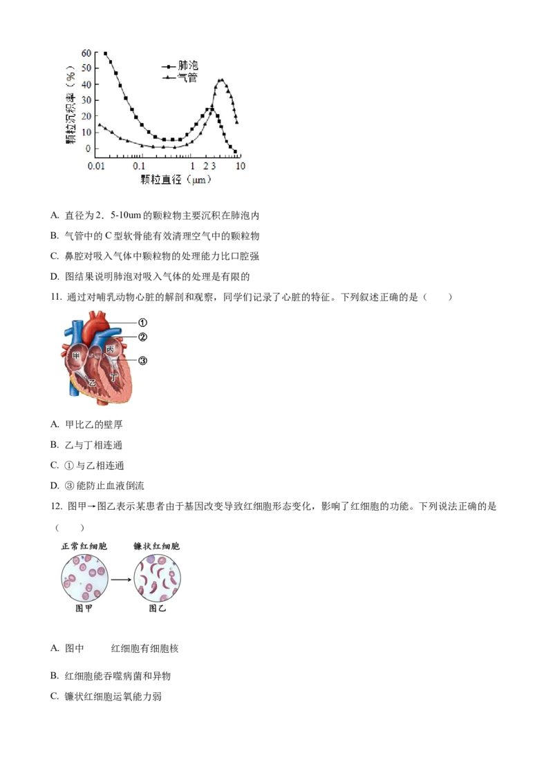精品解析：北京市十一学校2021-2022学年八年级下学期期中生物试题（原卷版）(1)_北京初中期末题_C605-京七八九_B京生物七八九_北京八下生物
