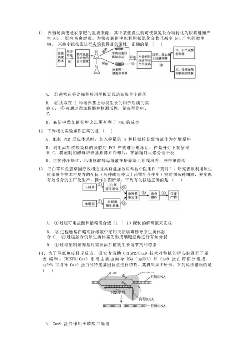 江苏省如皋中学2024&mdash;2025学年度高三年级测试生物试题（含答案）_A1502026各地模拟卷（超值！）_9月_2409162025江苏省如皋中学高三上学期期初考试