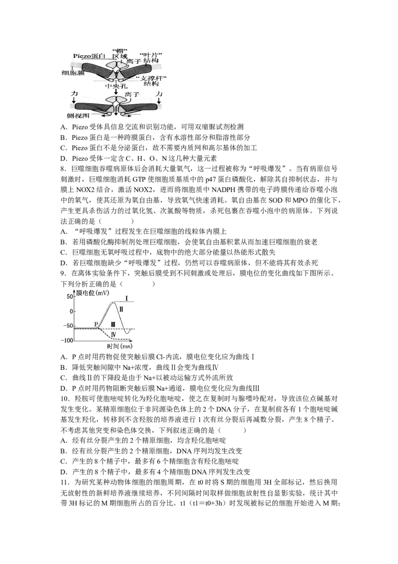 江西省宜春市丰城中学2024-2025学年高三上学期12月创新班段考试题生物Word版含答案_A1502026各地模拟卷（超值！）_12月