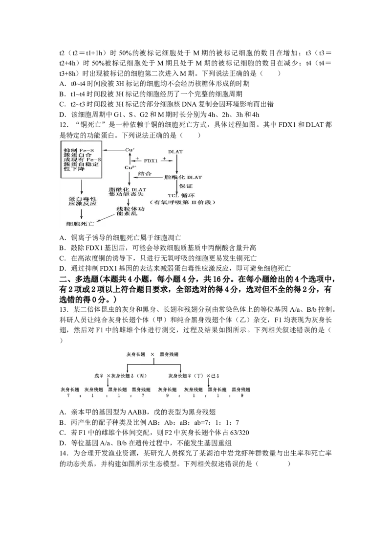 江西省宜春市丰城中学2024-2025学年高三上学期12月创新班段考试题生物Word版含答案_A1502026各地模拟卷（超值！）_12月