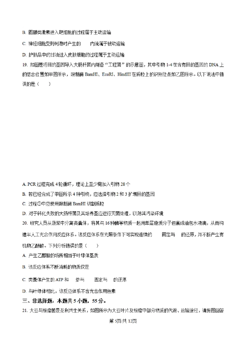 辽宁省七校协作体2024-2025学年度（上）高三期初考试生物试题（含答案)_A1502026各地模拟卷（超值！）_9月_240905辽宁省七校协作体2024-2025学年高三上学期期初联考