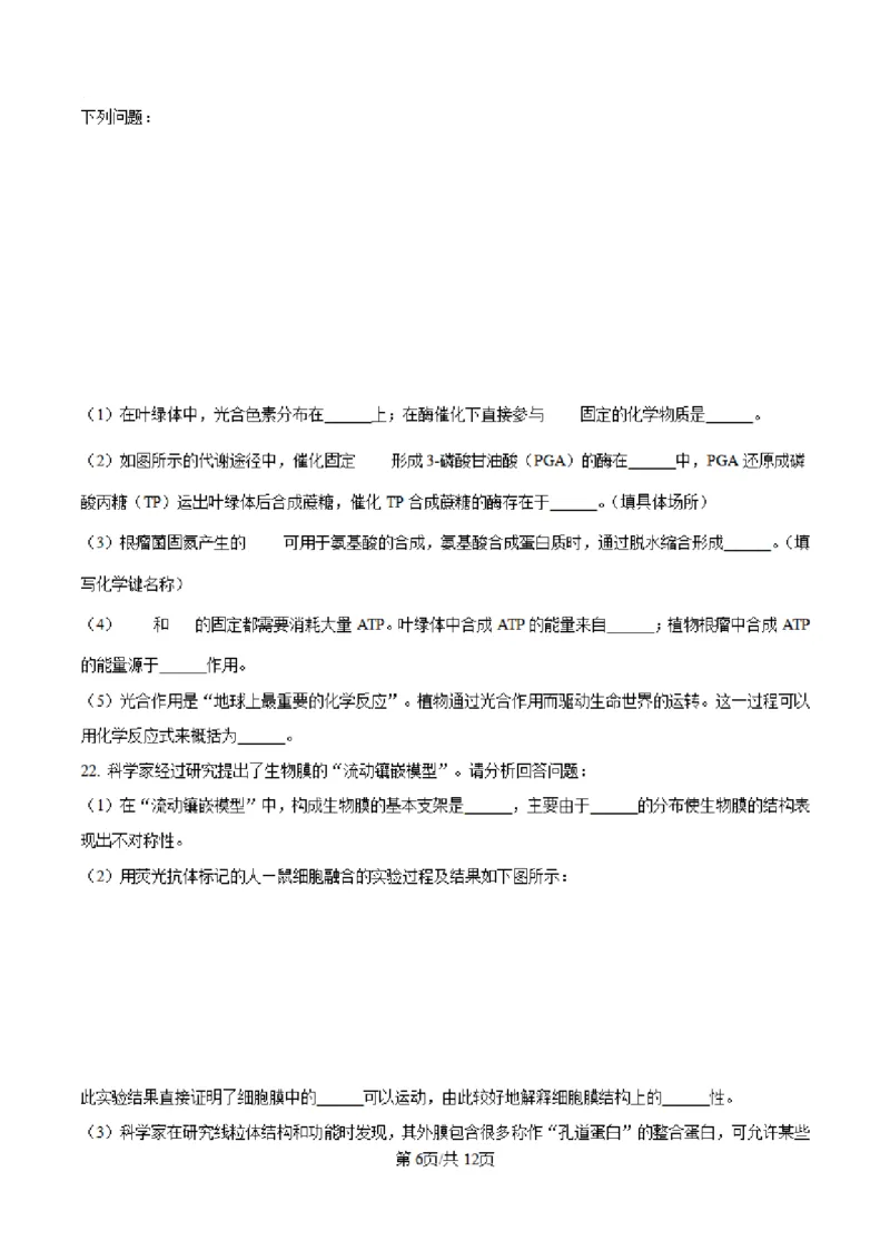 辽宁省七校协作体2024-2025学年度（上）高三期初考试生物试题（含答案)_A1502026各地模拟卷（超值！）_9月_240905辽宁省七校协作体2024-2025学年高三上学期期初联考
