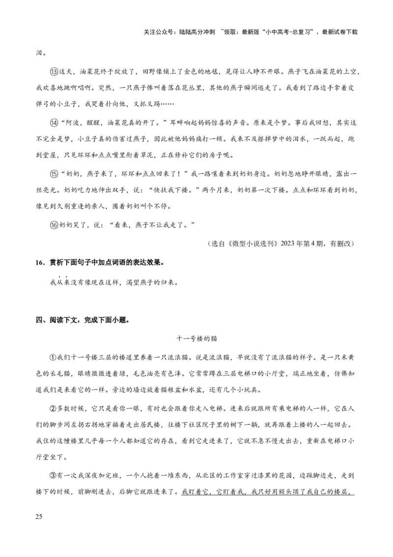 专题52文学类文本之字词赏析（知识梳理+练习）(原卷版）_02中考总复习（2026版更新中）_01-语文-中考总复习_2025年中考资料_备战2025年中考语文一轮复习考点突破（全国通用）