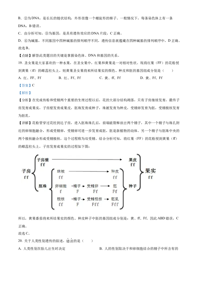 精品解析：北京市燕山地区2022-2023学年八年级上学期期末生物试题（解析版）(1)_北京初中期末题_C605-京七八九_B京生物七八九_北京八上生物_2022-2023