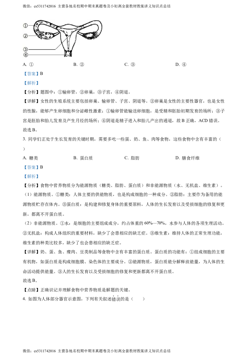 精品解析：北京市第二中学教育集团2022-2023学年七年级下学期期末生物试题（解析版）(1)_北京初中期末题_C605-京七八九_B京生物七八九_北京7下生物_2022-2024_北京生物7下期末