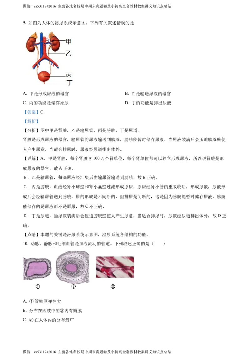 精品解析：北京市第二中学教育集团2022-2023学年七年级下学期期末生物试题（解析版）(1)_北京初中期末题_C605-京七八九_B京生物七八九_北京7下生物_2022-2024_北京生物7下期末