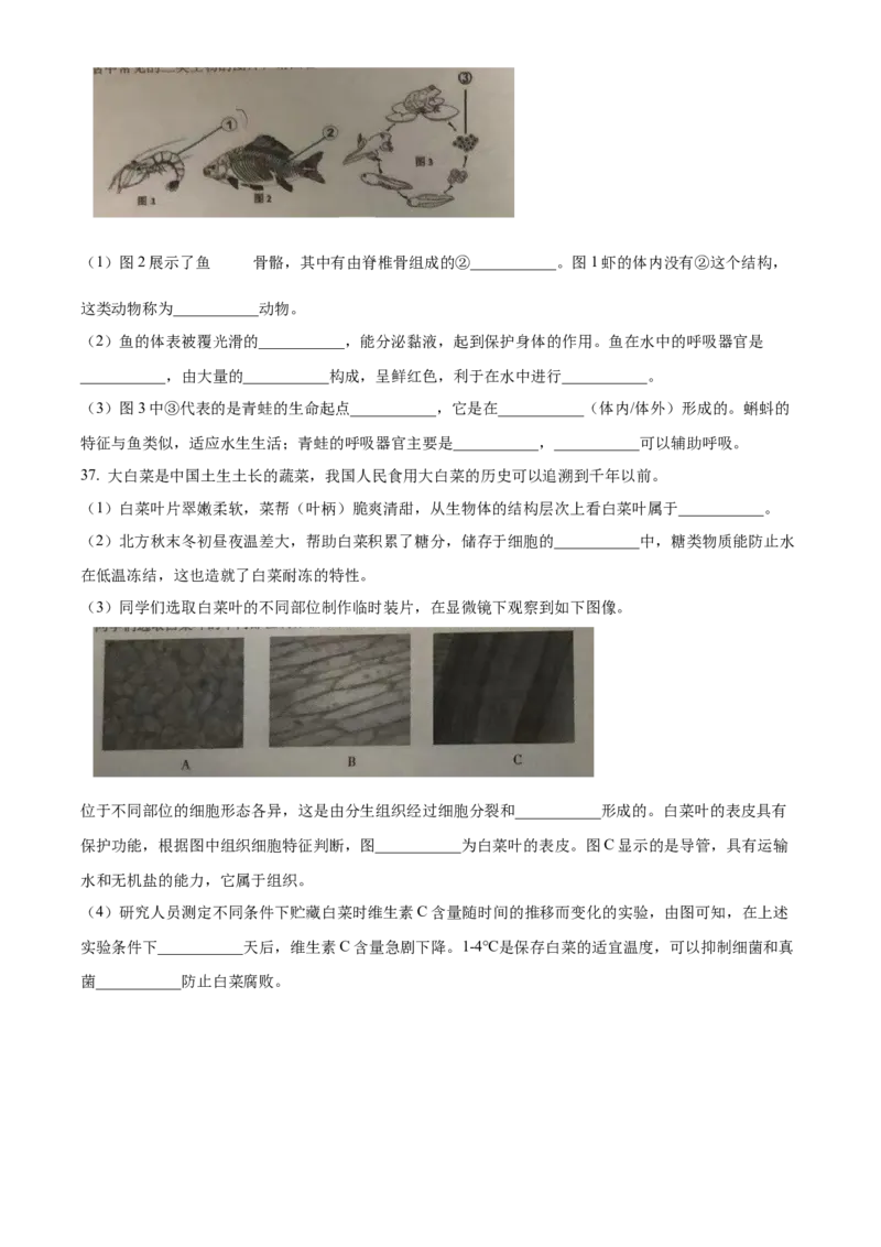 精品解析：北京市第十五中学2022-2023学年八年级上学期期中生物试题（原卷版）(1)_北京初中期末题_C605-京七八九_B京生物七八九_北京八上生物_2022-2023