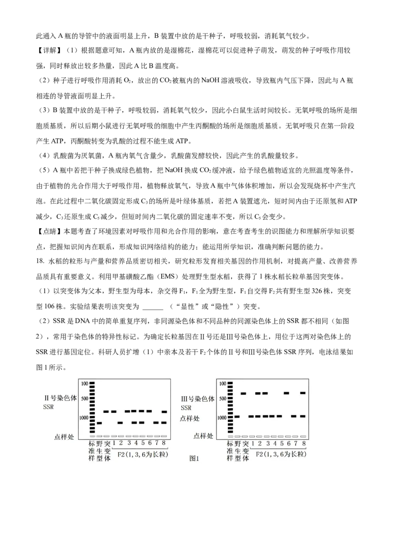 福建省泉州五校联考2024-2025学年高三上学期11月期中生物试题Word版含解析_A1502026各地模拟卷（超值！）_11月_241125福建省泉州市五校2024-2025学年高三上学期11月期中联考