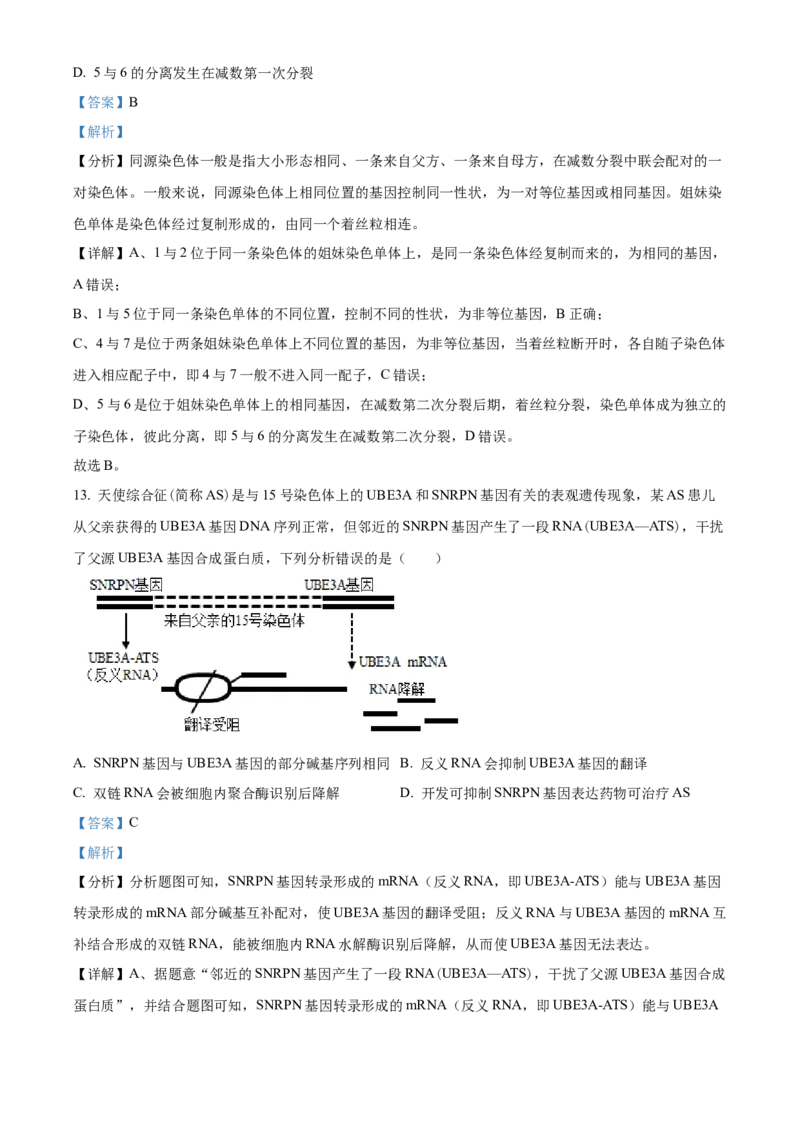 福建省泉州五校联考2024-2025学年高三上学期11月期中生物试题Word版含解析_A1502026各地模拟卷（超值！）_11月_241125福建省泉州市五校2024-2025学年高三上学期11月期中联考