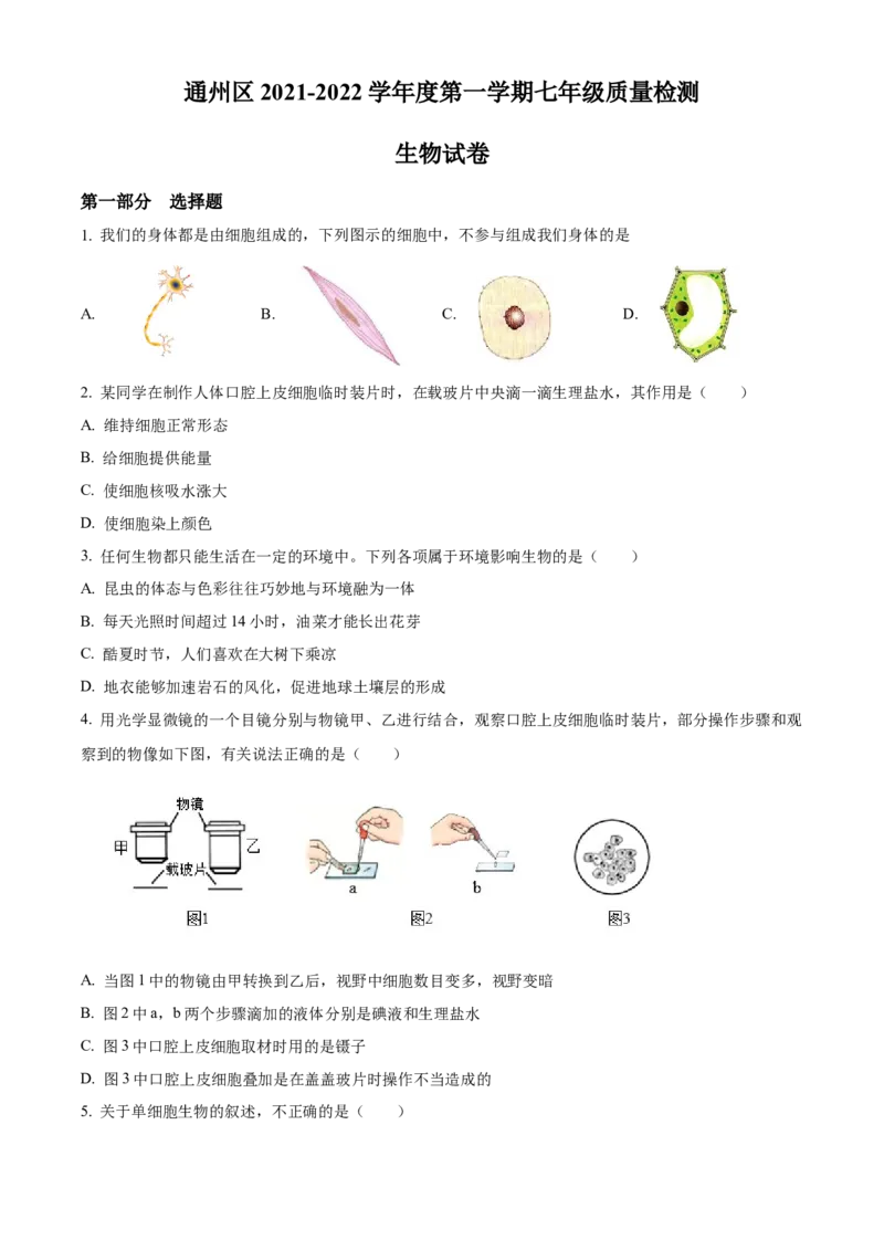 精品解析：北京市通州区2021-2022学年七年级上学期期末生物试题（原卷版）(1)_北京初中期末题_C605-京七八九_B京生物七八九_北京7上生物_2021-2022