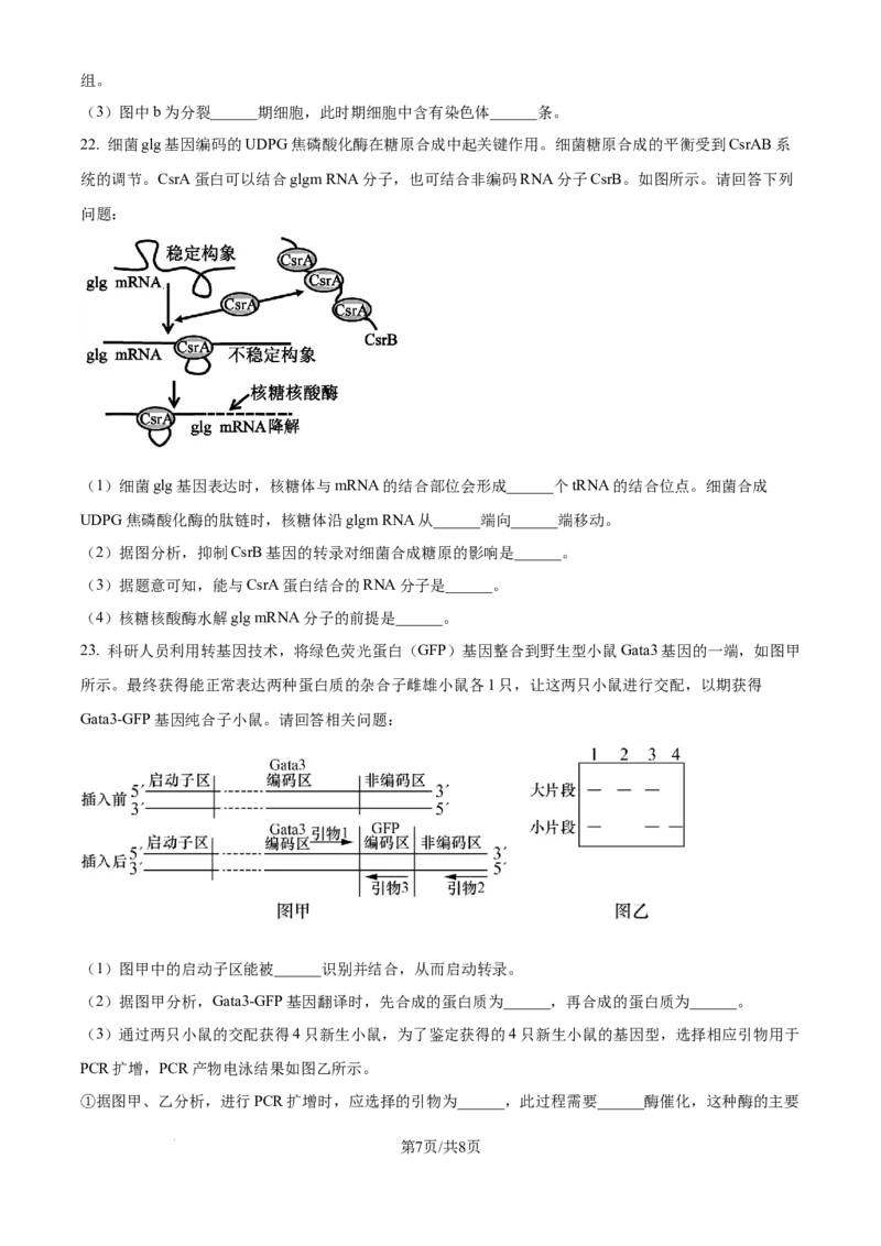 河北省张家口市尚义县第一中学等校2024-2025学年高三上学期9月入学摸底测试生物试题（原卷版）_A1502026各地模拟卷（超值！）_9月