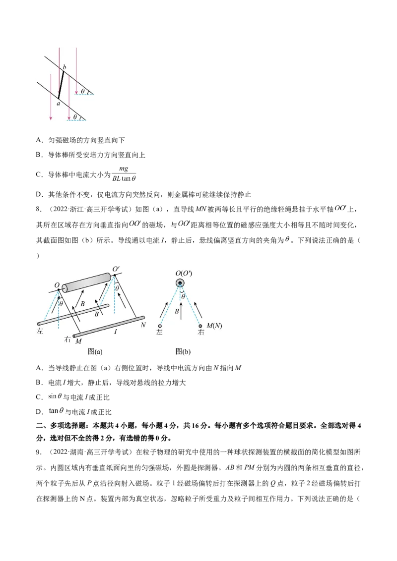 专题12　安培力与洛伦兹力测&mdash;&mdash;2023年高考物理一轮复习讲练测（新教材新高考通用）（原卷版）_4.2025物理总复习_2023年新高复习资料_一轮复习