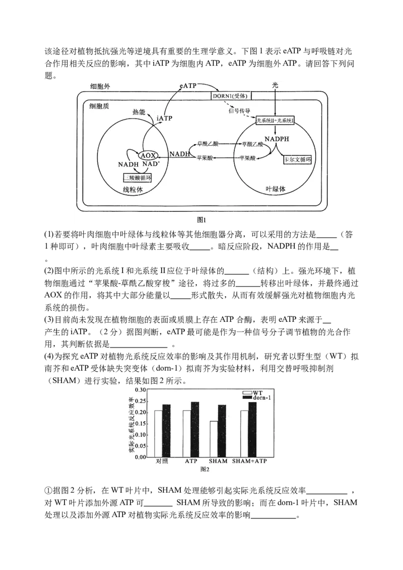 江苏省扬州中学2024-2025学年高三上学期8月开学考试生物Word版含答案_A1502026各地模拟卷（超值！）_9月_240903江苏省扬州中学2024-2025学年高三上学期8月开学考试