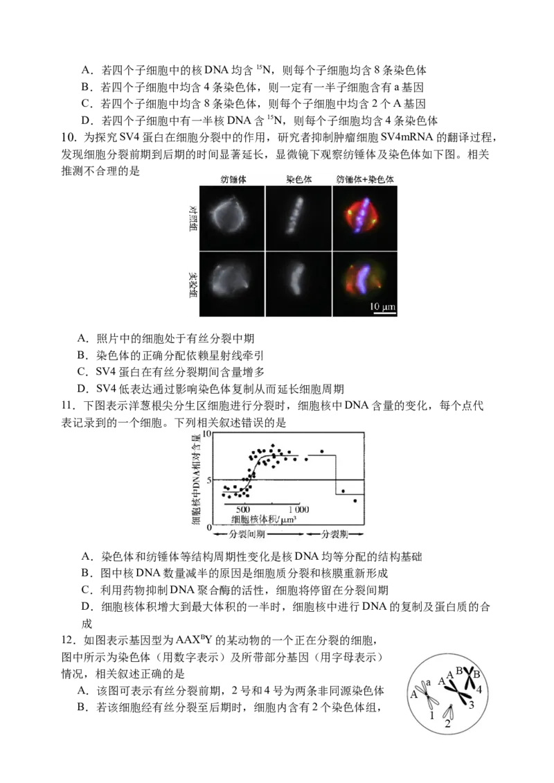 江苏省扬州中学2024-2025学年高三上学期8月开学考试生物Word版含答案_A1502026各地模拟卷（超值！）_9月_240903江苏省扬州中学2024-2025学年高三上学期8月开学考试