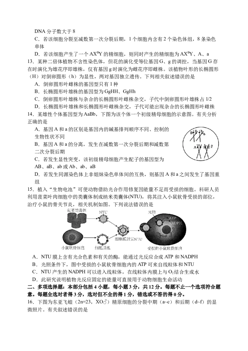 江苏省扬州中学2024-2025学年高三上学期8月开学考试生物Word版含答案_A1502026各地模拟卷（超值！）_9月_240903江苏省扬州中学2024-2025学年高三上学期8月开学考试