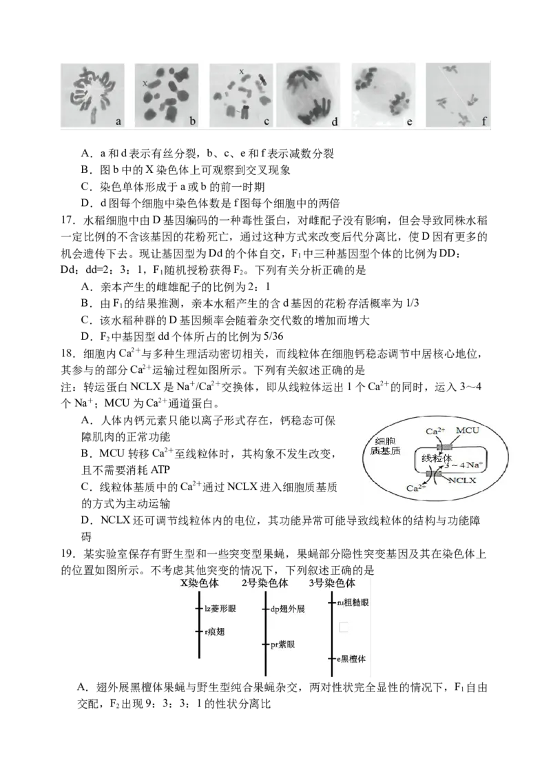 江苏省扬州中学2024-2025学年高三上学期8月开学考试生物Word版含答案_A1502026各地模拟卷（超值！）_9月_240903江苏省扬州中学2024-2025学年高三上学期8月开学考试