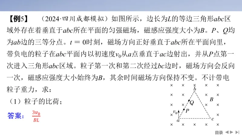 2025版高考物理二轮复习配套课件第一部分专题三电场和磁场第9讲磁场及带电粒子在磁场中的运动_4.2025物理总复习_2025年新高考资料_二轮复习_2025高考物理二轮复习配套课件