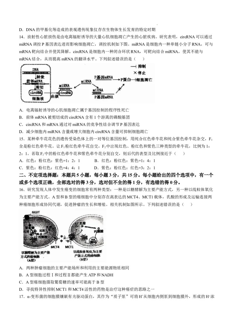 辽宁省七校协作体2024-2025学年高三上学期11月期中联考试题生物Word版含答案_A1502026各地模拟卷（超值！）_11月_241118辽宁省七校协作体2024-2025学年高三上学期11月期中联考（全科）