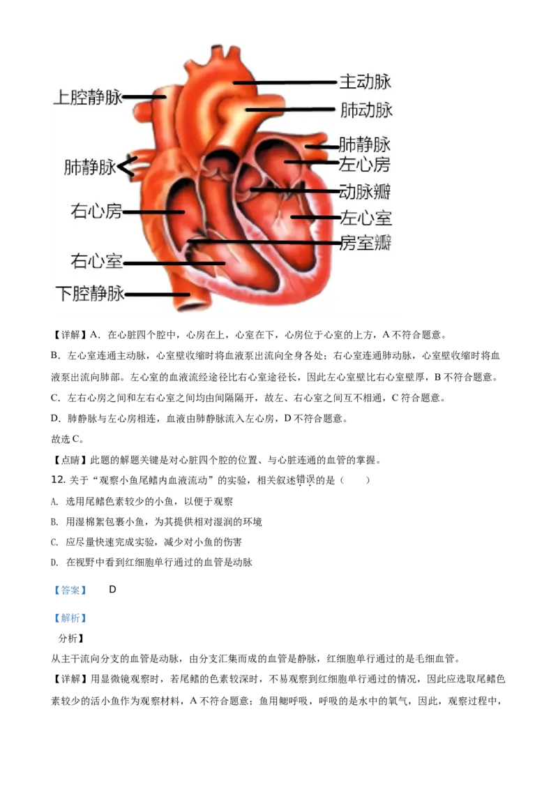 精品解析：北京市西城区2020年2019&mdash;2020学年七年级下学期期末生物试题（解析版）(1)_北京初中期末题_C605-京七八九_B京生物七八九_北京7下生物_2019-2020