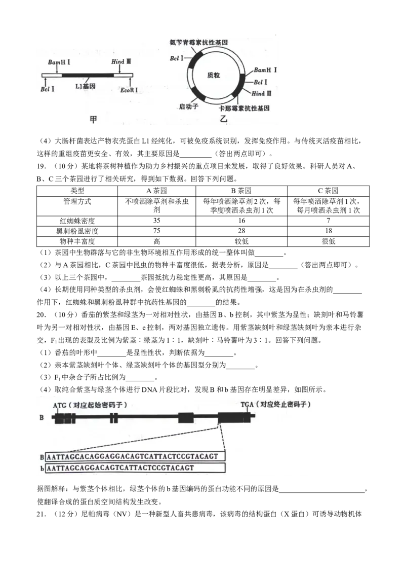 贵州省六盘水市2025届高三上学期第二次诊断性监测生物_A1502026各地模拟卷（超值！）_12月_241202贵州省六盘水市2025届高三上学期第二次诊断性监测