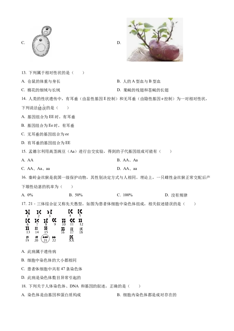 精品解析：北京市石景山区2023-2024学年八年级上学期期末生物试题（原卷版）(1)_北京初中期末题_C605-京七八九_B京生物七八九_北京八上生物_2023-2024