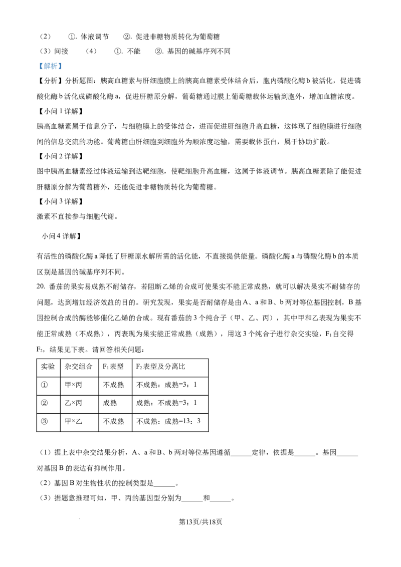 河北省张家口市尚义县第一中学等校2024-2025学年高三上学期9月入学摸底测试生物试题（解析版）_A1502026各地模拟卷（超值！）_9月