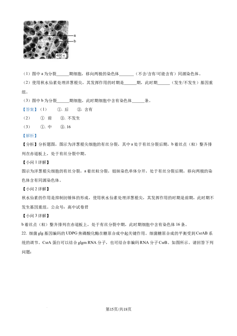 河北省张家口市尚义县第一中学等校2024-2025学年高三上学期9月入学摸底测试生物试题（解析版）_A1502026各地模拟卷（超值！）_9月