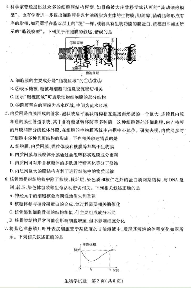 皖豫联盟2024-2025学年高三上学期十月联考生物试题_A1502026各地模拟卷（超值！）_10月_241013天一大联考皖豫名校联盟2024-2025学年高三10月联考