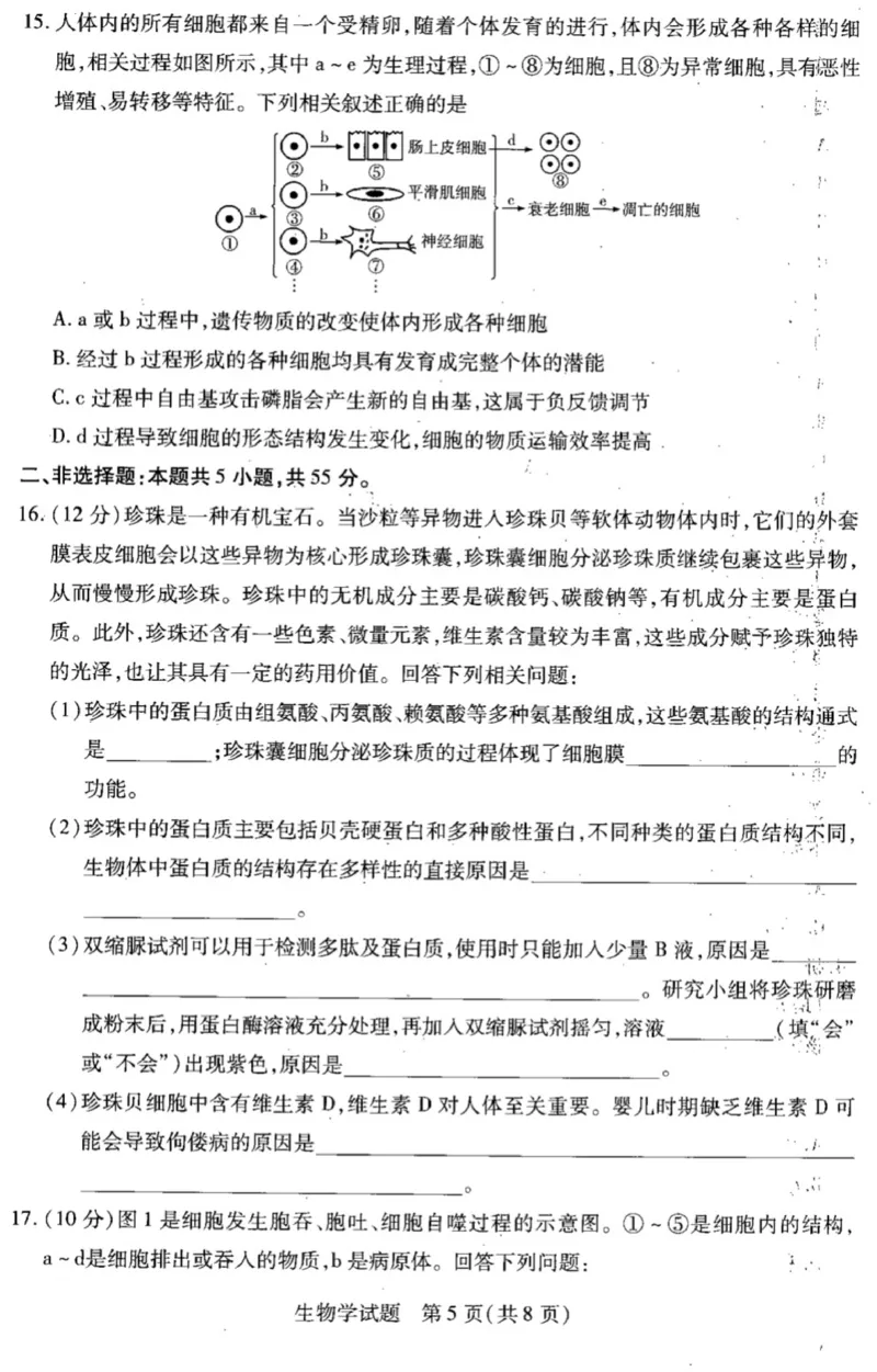 皖豫联盟2024-2025学年高三上学期十月联考生物试题_A1502026各地模拟卷（超值！）_10月_241013天一大联考皖豫名校联盟2024-2025学年高三10月联考