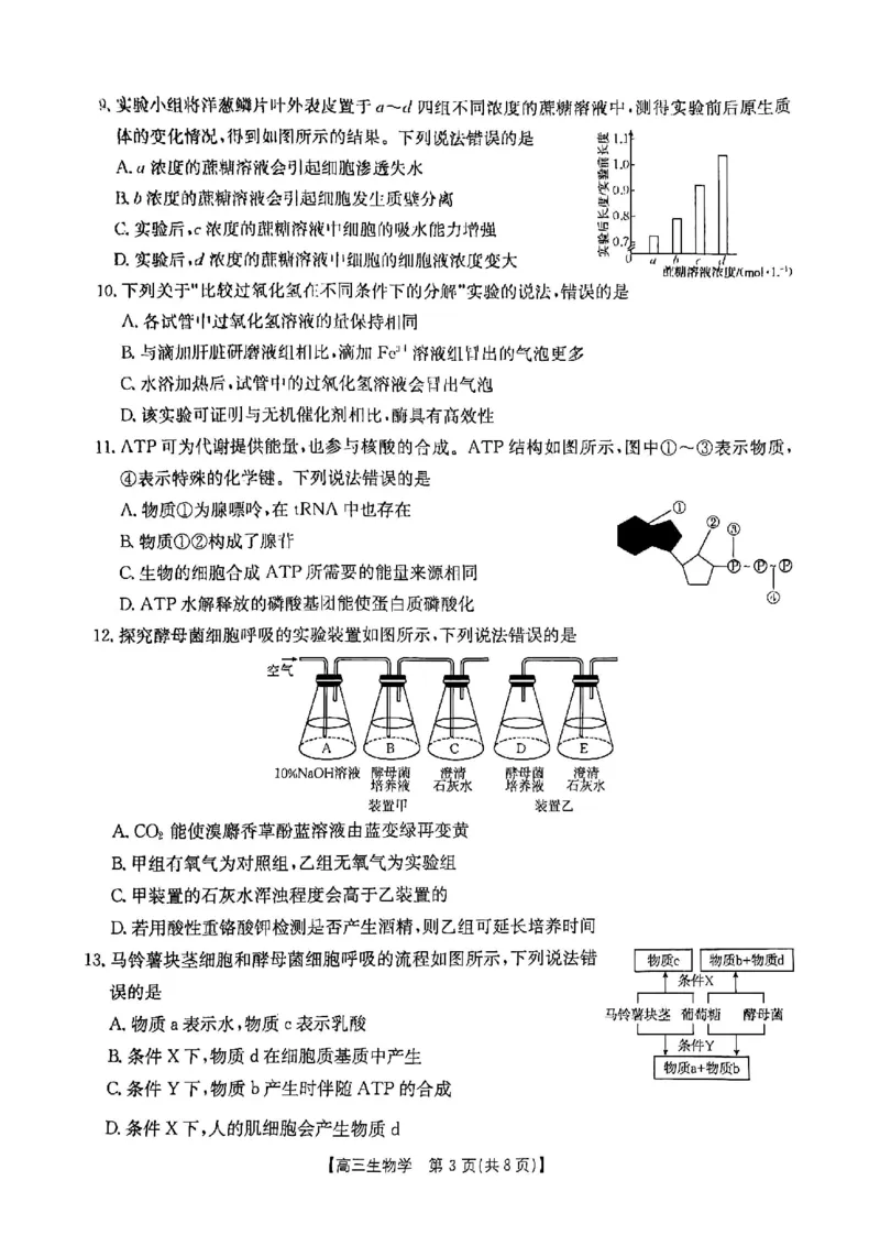 生物试题_A1502026各地模拟卷（超值！）_9月_2409242025届陕西省高三金太阳9月联考（25-37C）_试卷