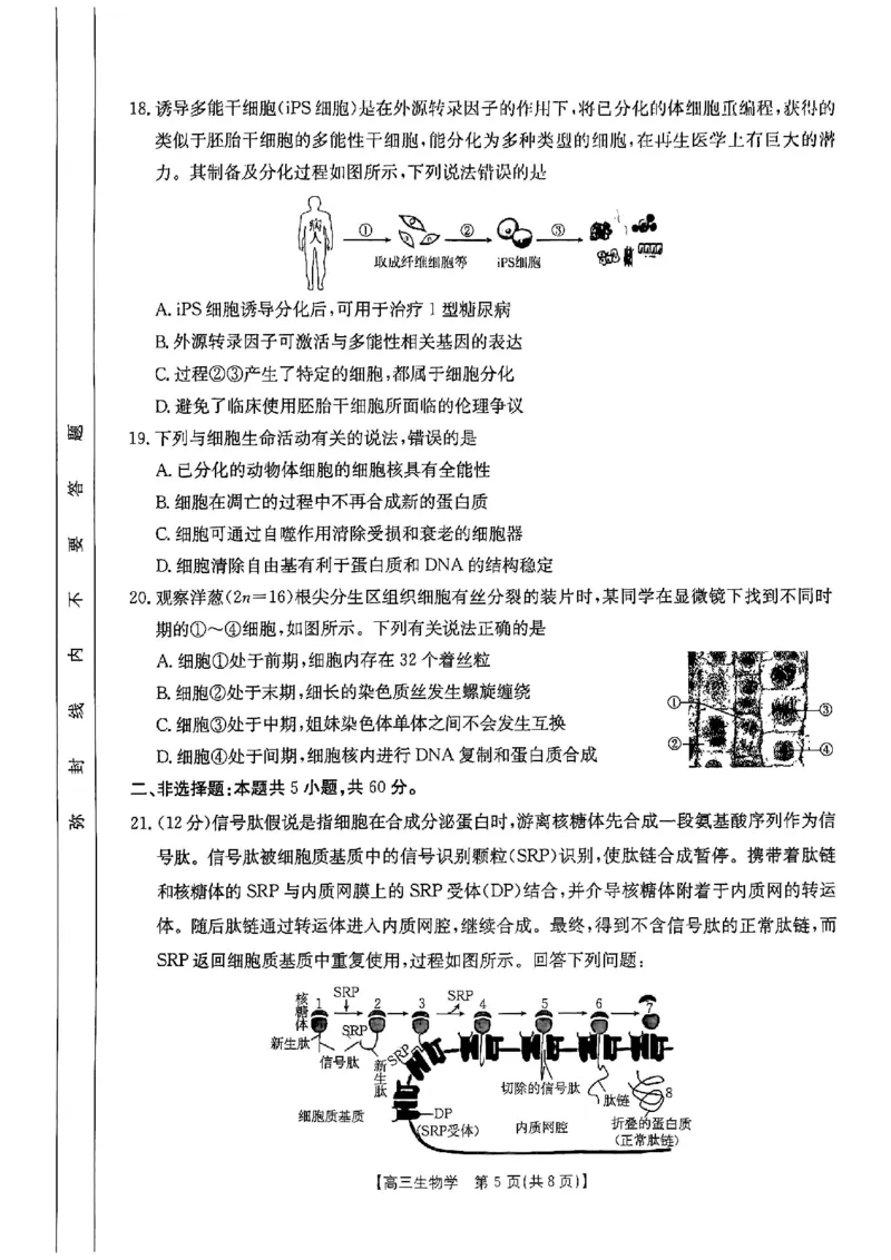 生物试题_A1502026各地模拟卷（超值！）_9月_2409242025届陕西省高三金太阳9月联考（25-37C）_试卷