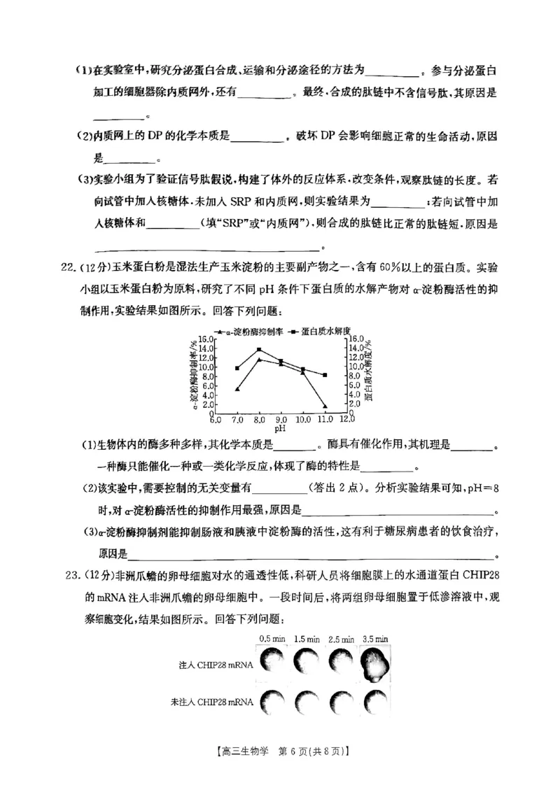 生物试题_A1502026各地模拟卷（超值！）_9月_2409242025届陕西省高三金太阳9月联考（25-37C）_试卷