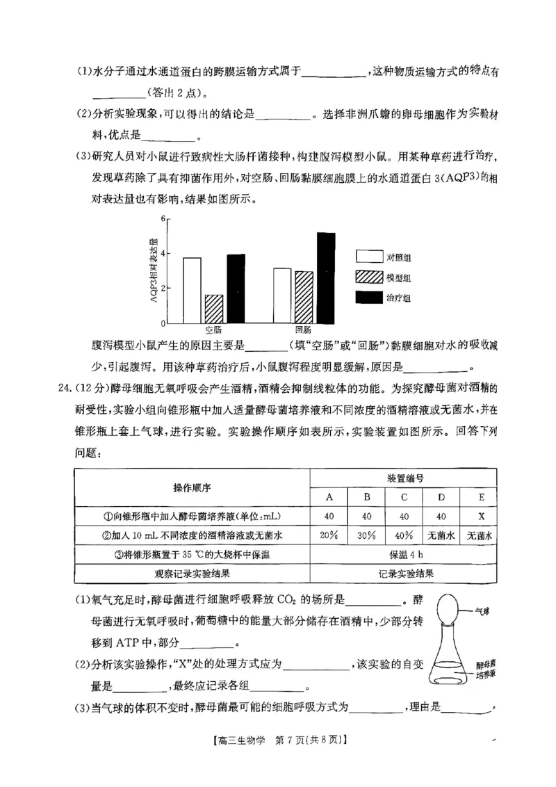 生物试题_A1502026各地模拟卷（超值！）_9月_2409242025届陕西省高三金太阳9月联考（25-37C）_试卷