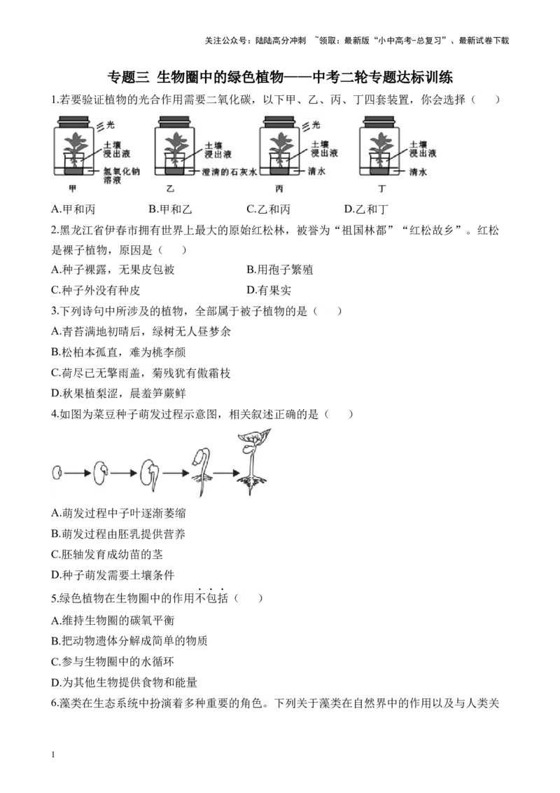 专题三生物圈中的绿色植物&mdash;&mdash;2025年中考生物二轮专题达标训练（含解析）_02中考总复习（2026版更新中）_08-生物-中考总复习_2025中考复习资料_2025年中考生物二轮专题达标训练(含解析)
