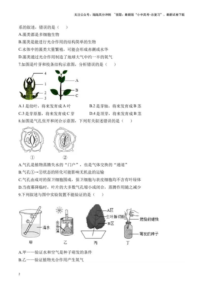 专题三生物圈中的绿色植物&mdash;&mdash;2025年中考生物二轮专题达标训练（含解析）_02中考总复习（2026版更新中）_08-生物-中考总复习_2025中考复习资料_2025年中考生物二轮专题达标训练(含解析)
